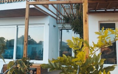 ¿Por qué cada vez más personas eligen vivir en cohousing?